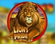 Lion`s Pride